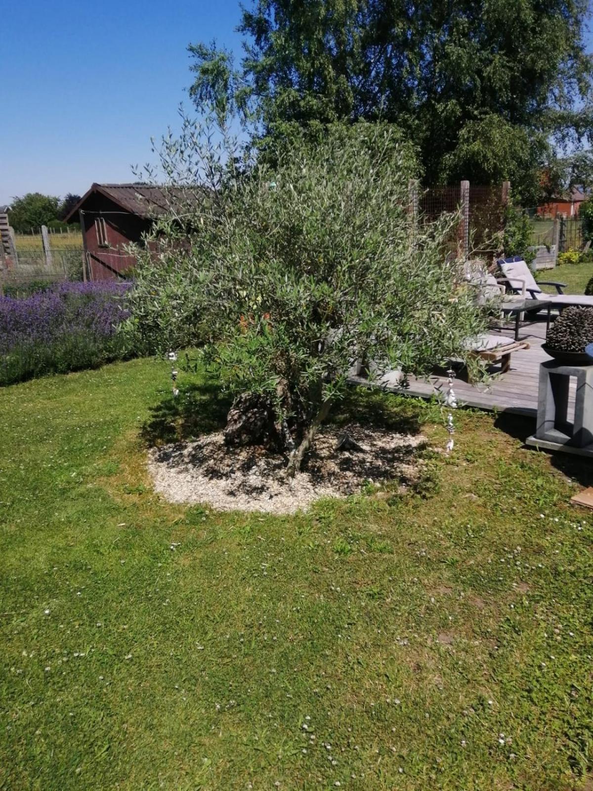 On Dirait Le Sud Hotell Chievres Eksteriør bilde
